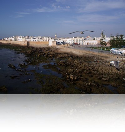 essaouira 2