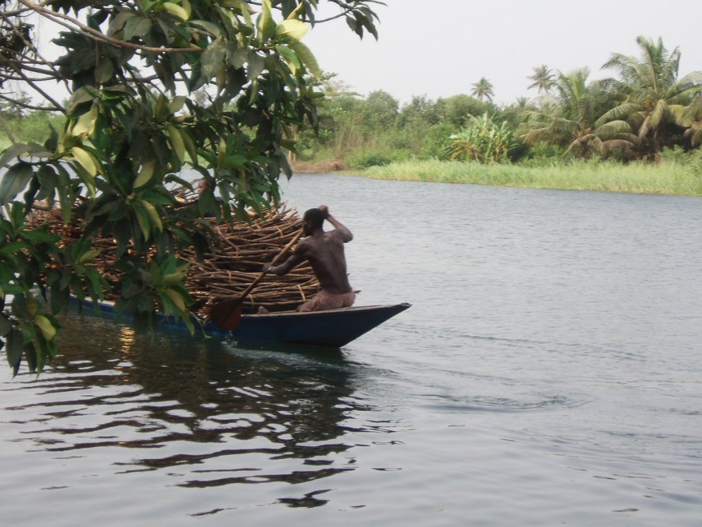 Returning from South&nbsp;Africa