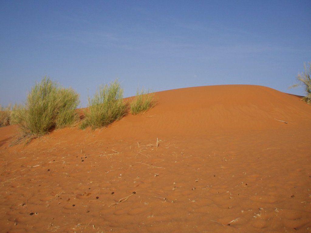 Route de lâEspoir