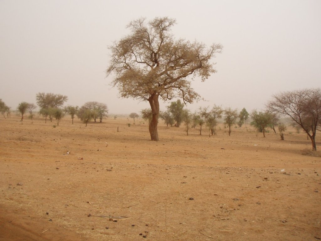The Sahel